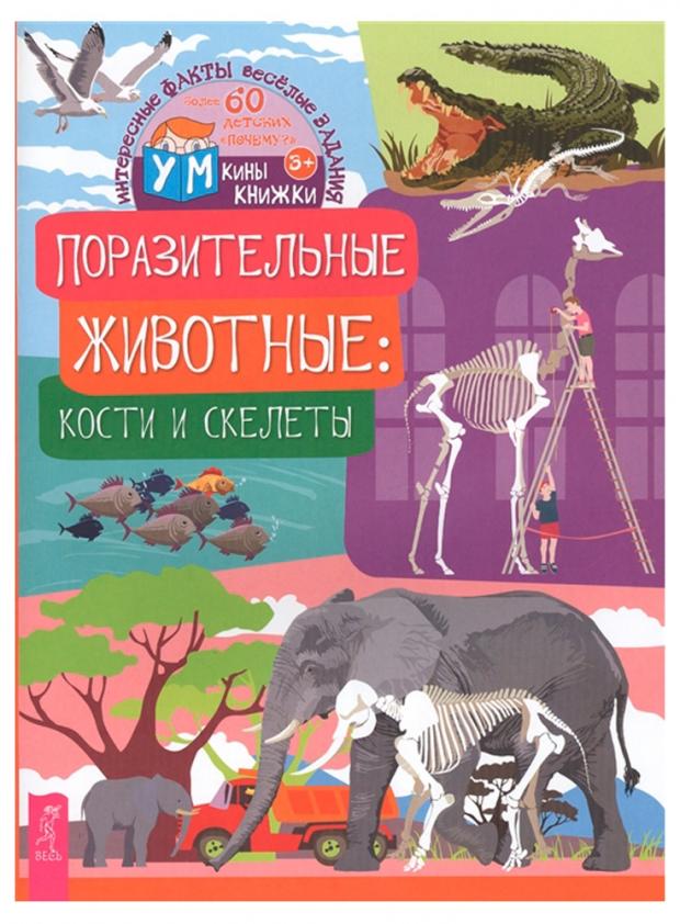 

Поразительные животные. Кости и скелеты, Евдокимова К.