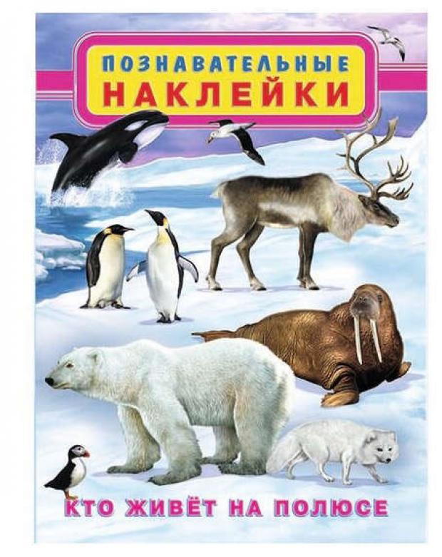 

Книжка с многоразовыми наклейками Полюс