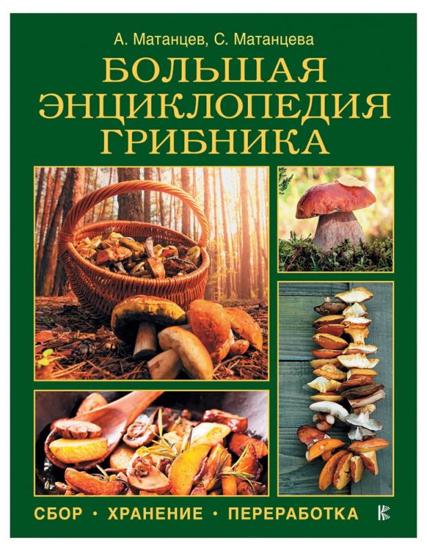 

Большая энциклопедия грибника: сбор, хранение, переработка, Матанцев А.Н.