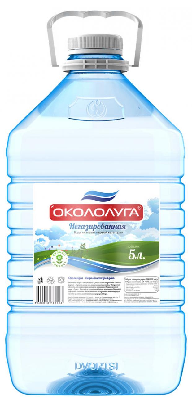 

Вода негазированная «Окололуга» питьевая артезианская вода, 5 л