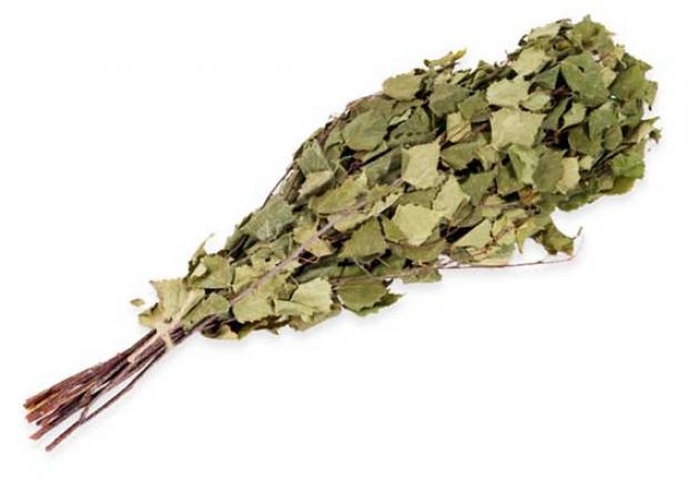 Веник берёзовый ГлавБаня Оригинальный 113₽