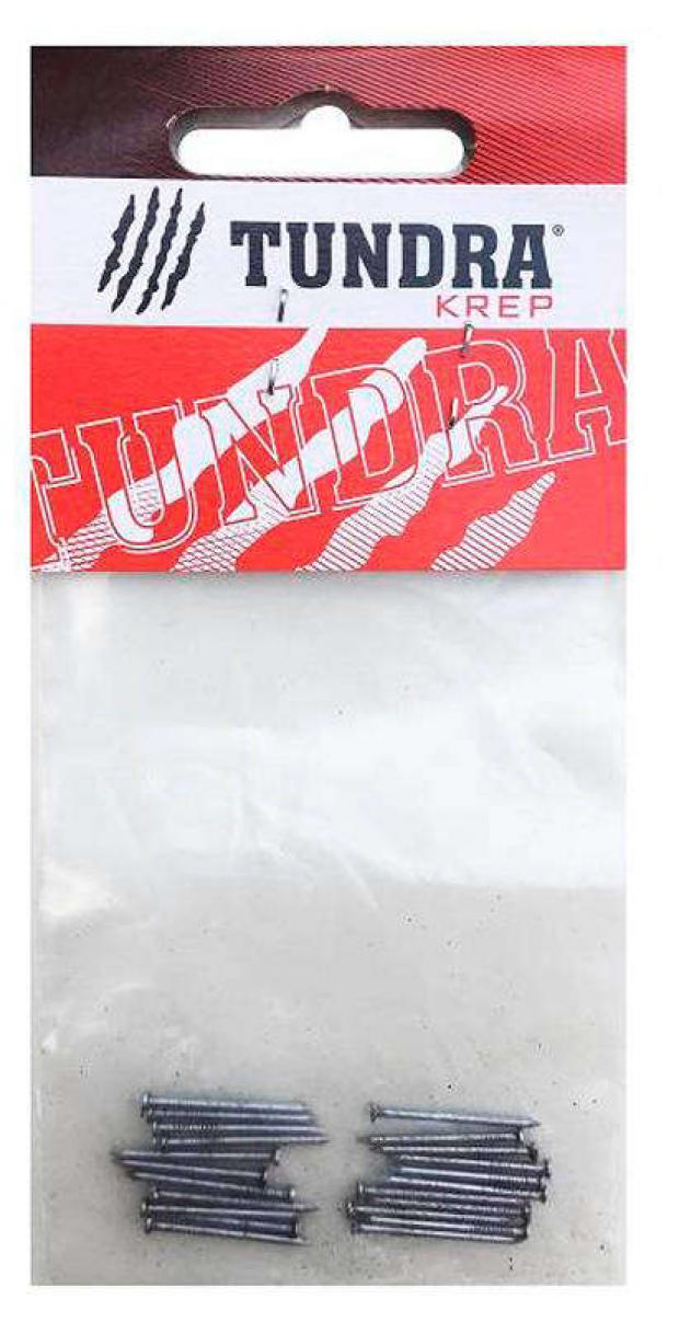 

Гвозди Tundra строительные 1,2x20 мм, 20 шт