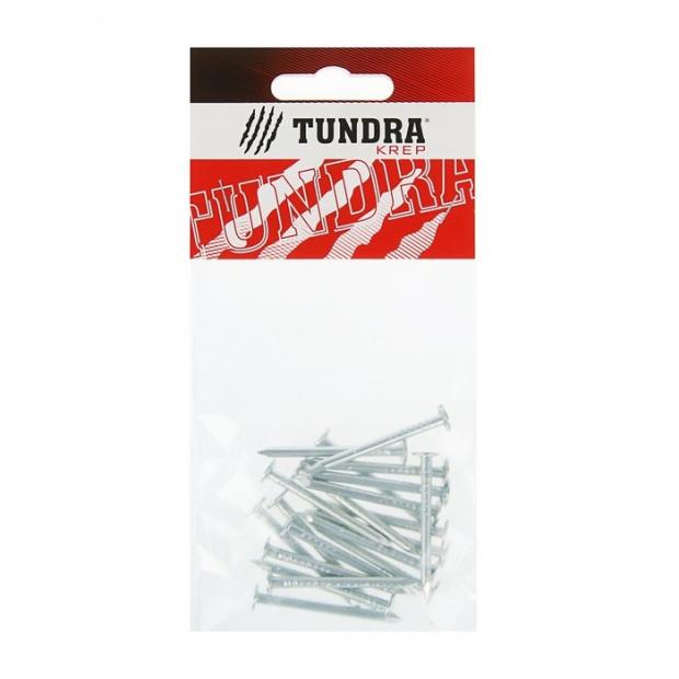

Гвозди Tundra толевые оцинкованные 3x40 мм, 20 шт