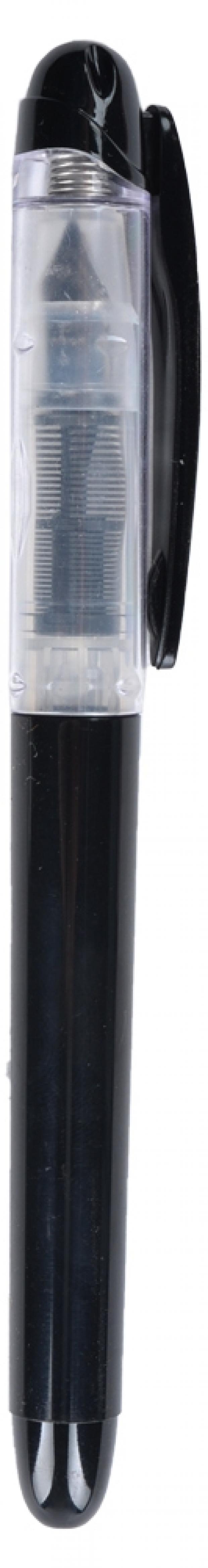 Ручка перьевая 60₽