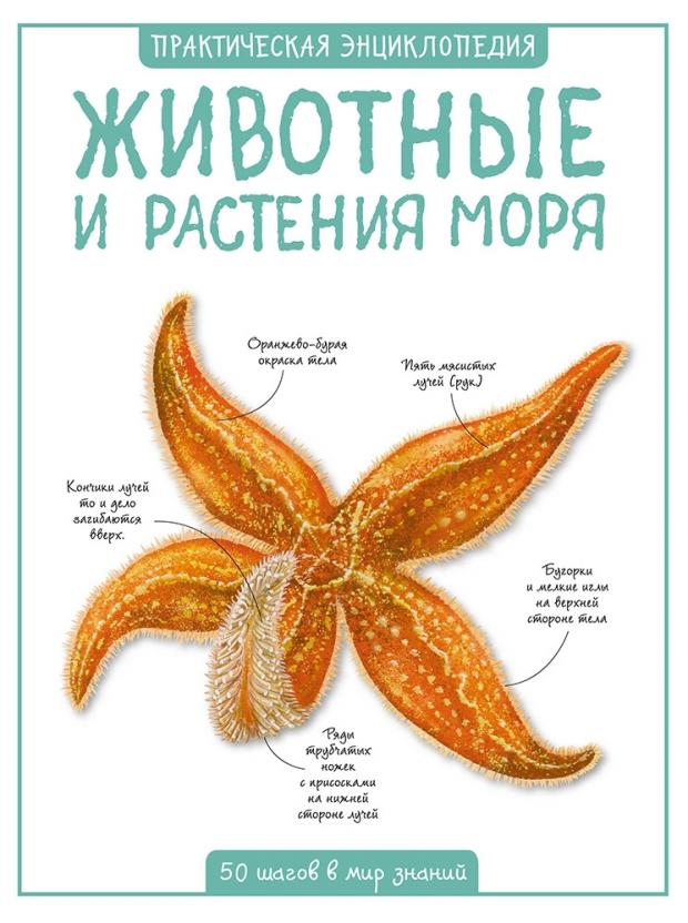 

Животные и растения моря, Бедуайер К.