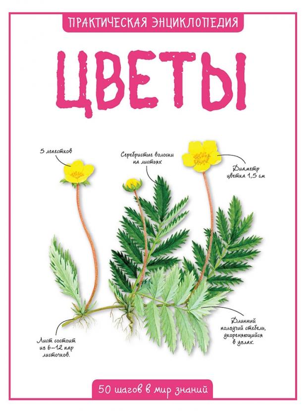 

Цветы 50 шагов в мир знаний, Бедуайер К.