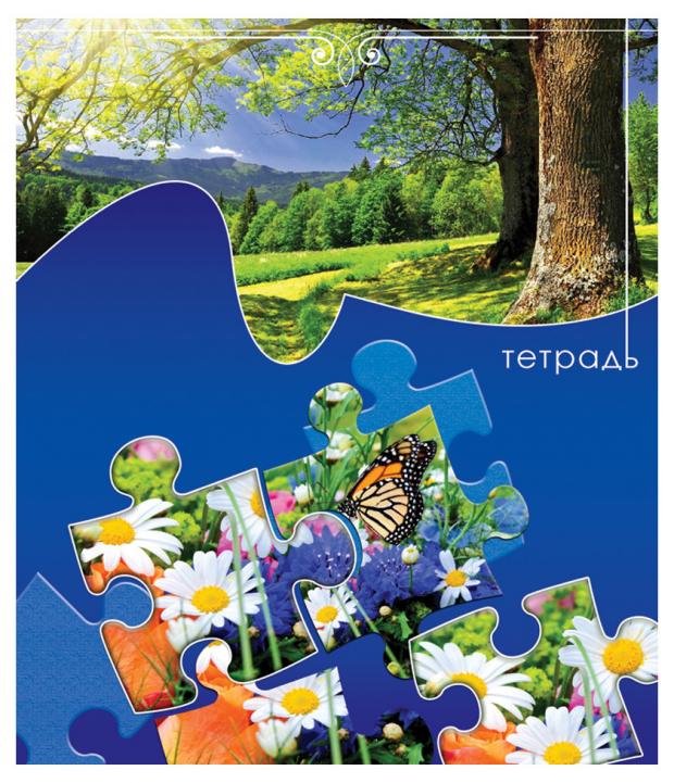 Тетрадь общая Апплика в клетку А5 48 л 30₽