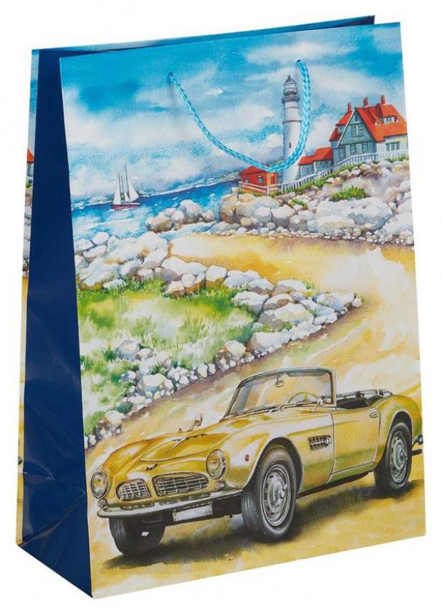 Пакет подарочный Арт Дизайн 26х36х115см 49₽