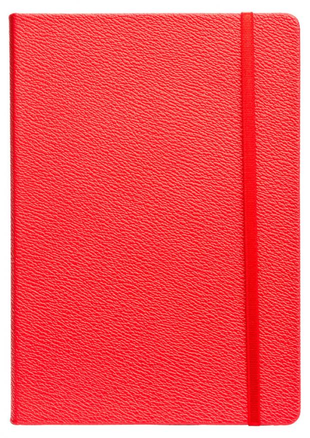 

Книжка записная Infolio А5 в клетку, 192 л