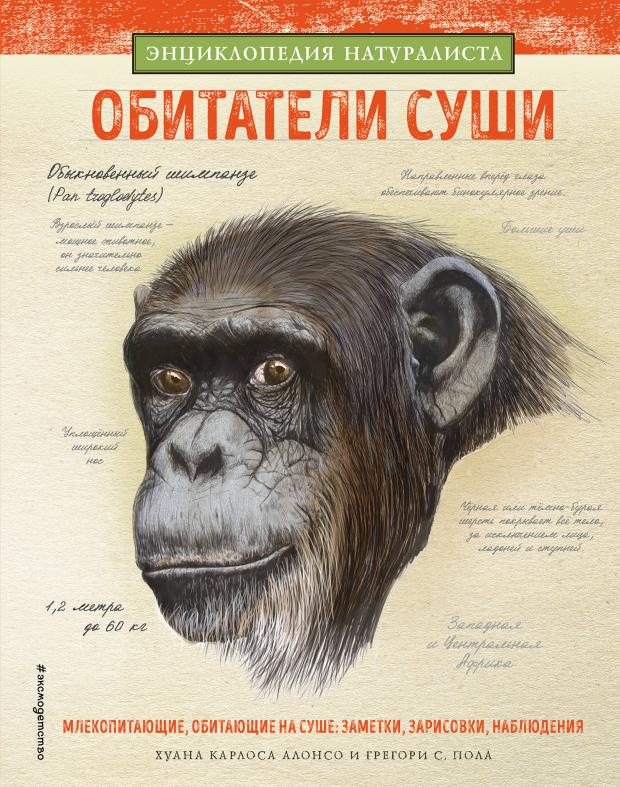 

Обитатели суши, Алонсо Х.К.