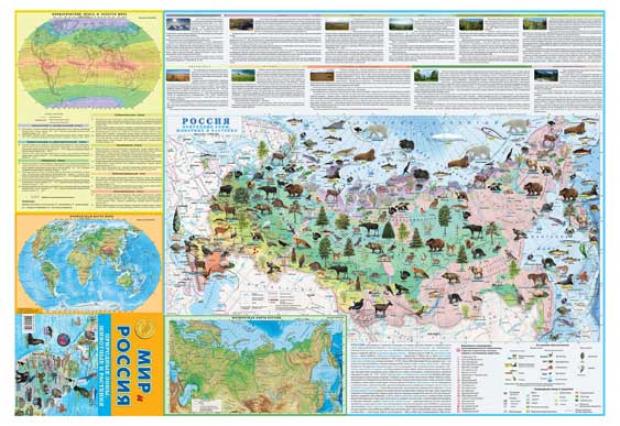 Карта складная Мир Природные зоны животные и растения 1х07 м 69₽