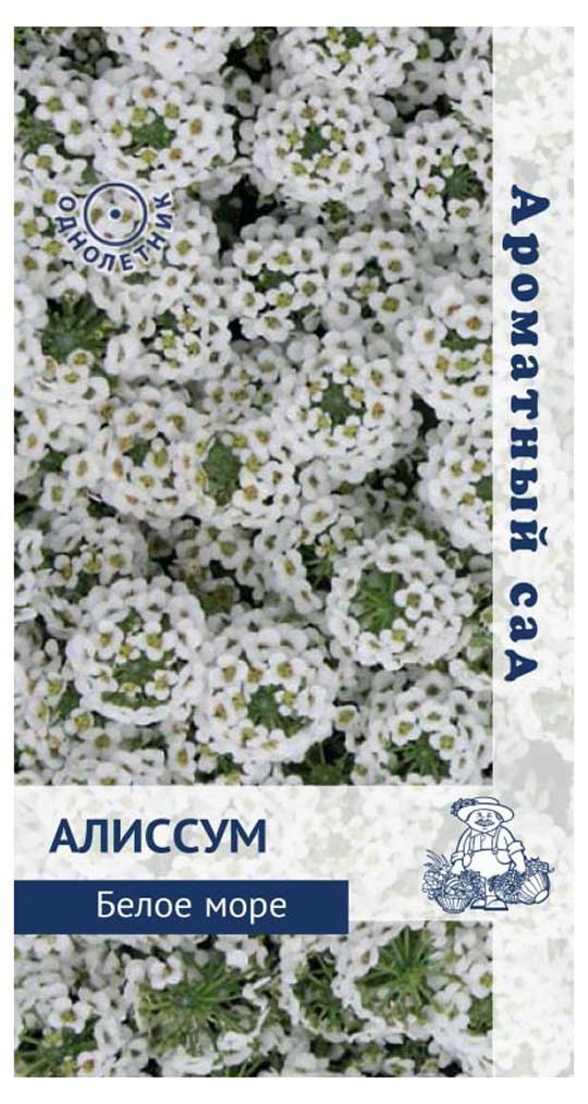 

Семена Алиссум Поиск Белое море, 0,3 г