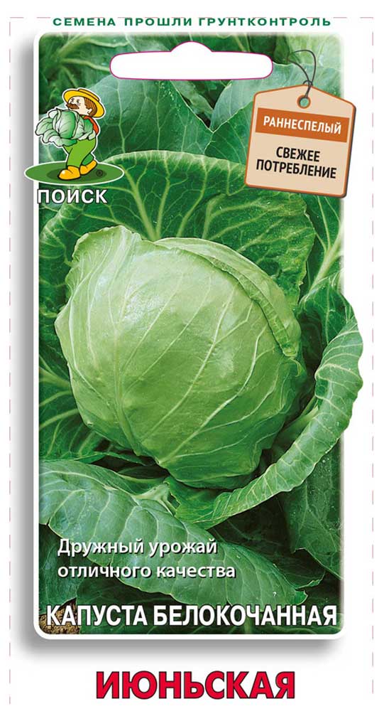 

Семена Капуста Поиск Июрьская белая, 0,5 г