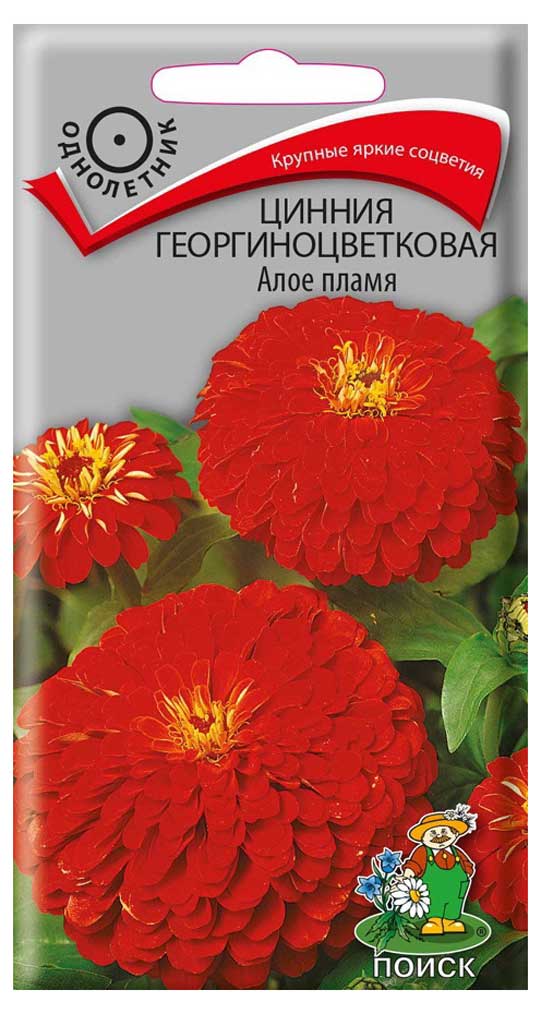 Изображение товара Семена Цинния «Поиск» Алое пламя, 0,4 г