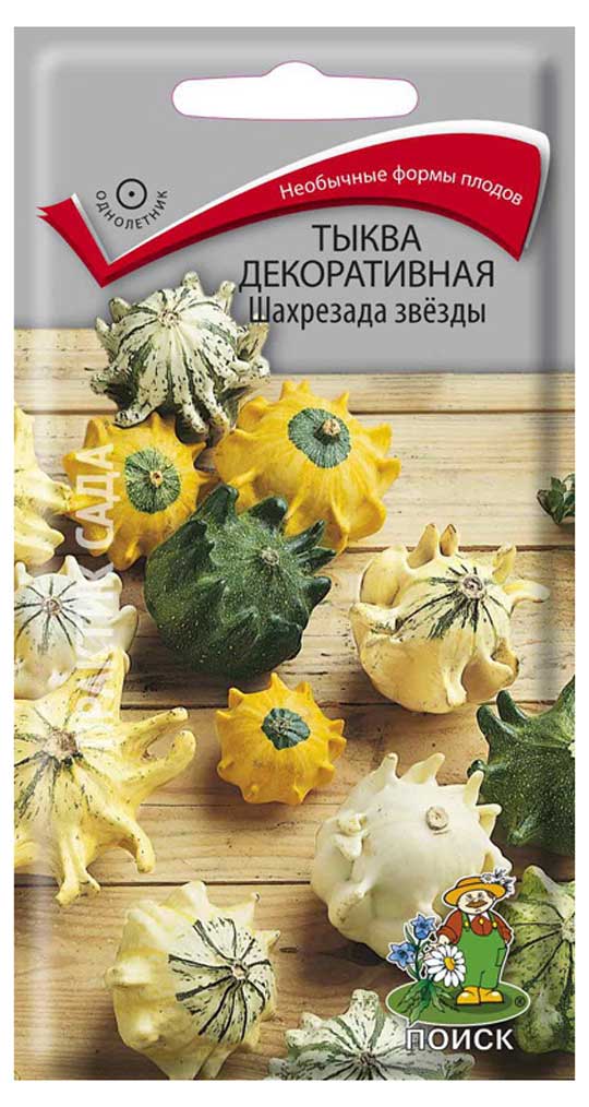 

Семена Тыква Поиск Декоративная, 5 шт