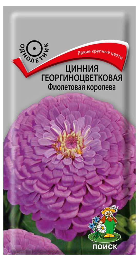 

Семена Цинния Поиск Фиолетовая королева, 0,4 г