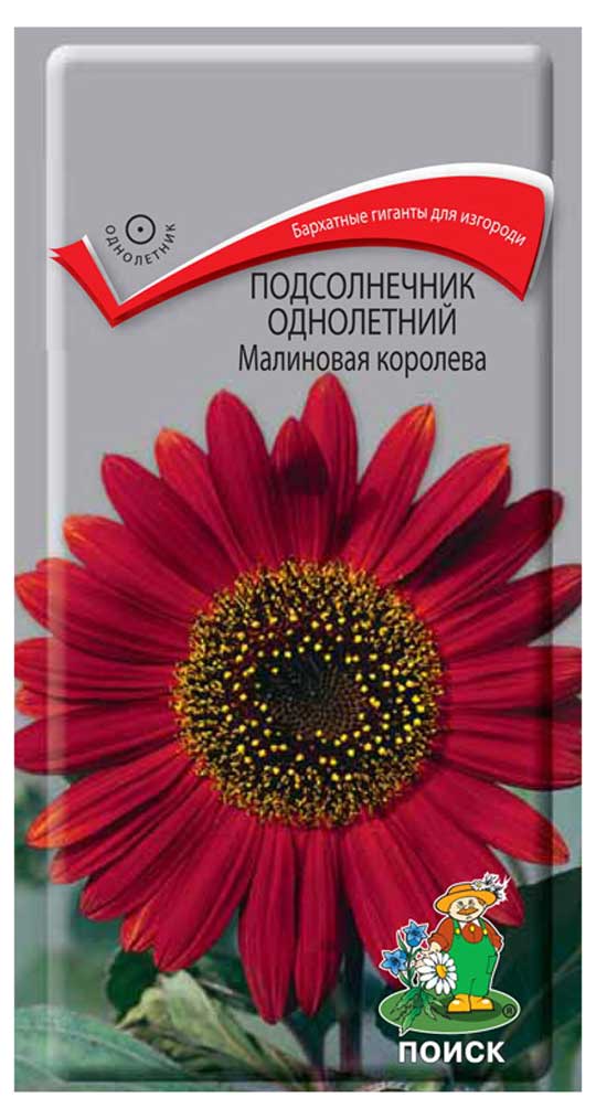 

Семена Подсолнечник Поиск Малиновая королева, 0,5 г