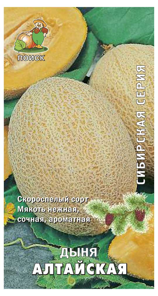 

Семена Дыня Поиск Алтайская, 15 шт