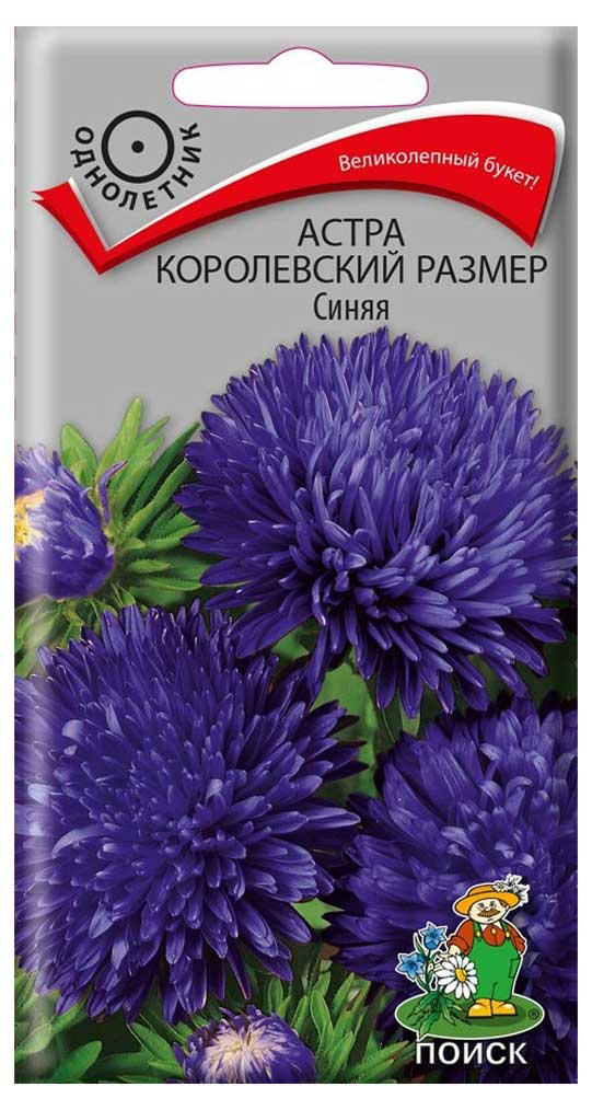 

Семена Астра Поиск Королевский размер синяя, 0,1 г