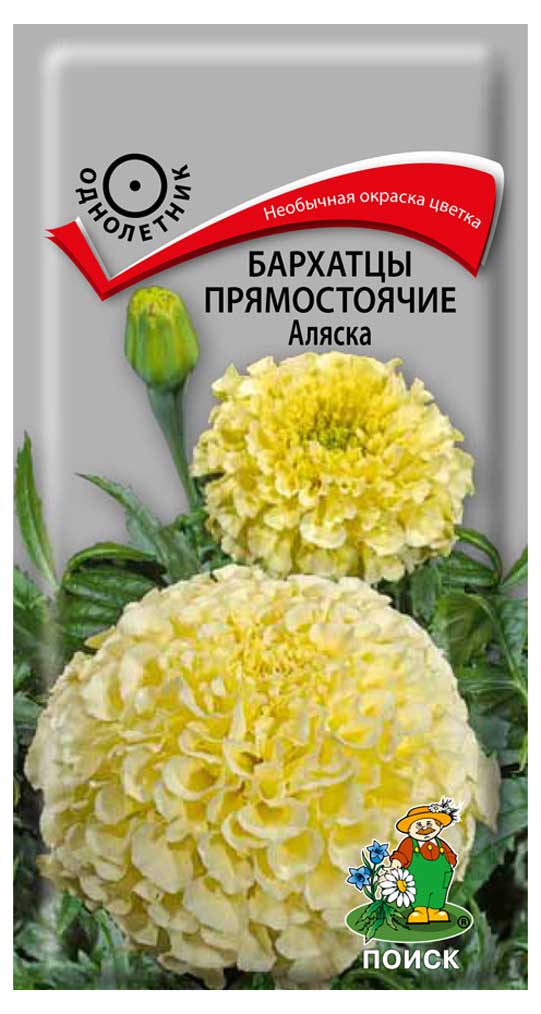 Изображение товара Семена Бархатцы прямостоячие «Поиск» Аляска, 0,4 г