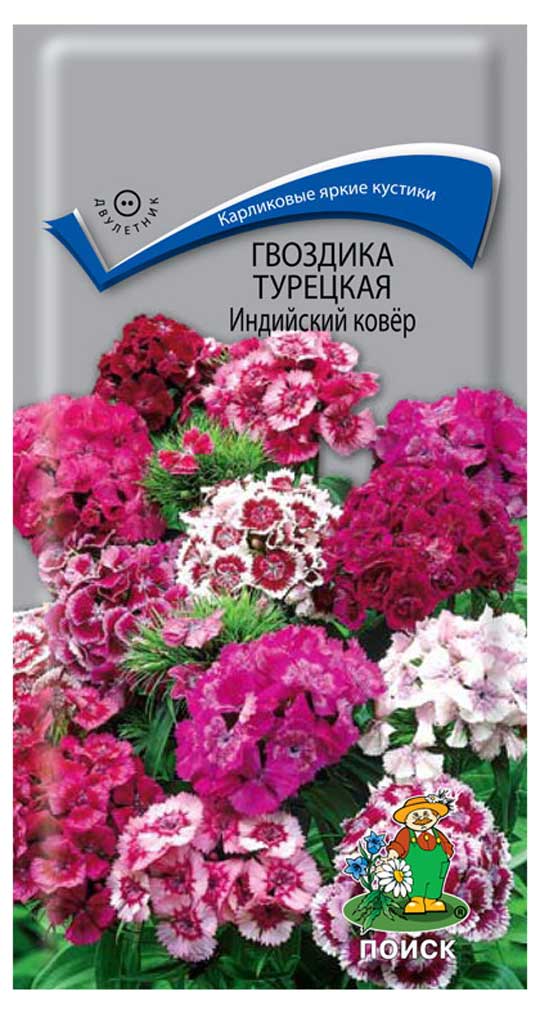 

Семена Гвоздика Поиск Индийский ковер, 0,3 г