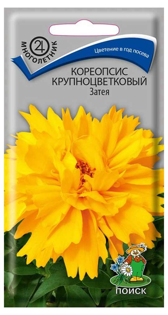 

Семена Кореопсис Поиск Затея крупный, 0,5 г