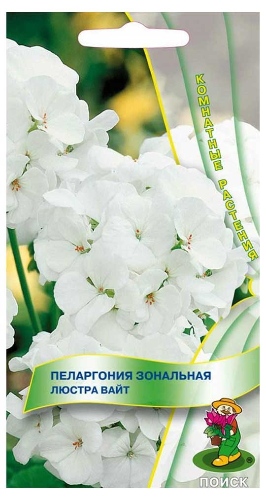 

Семена Пеларгония Поиск Люстра вайт, 5 шт