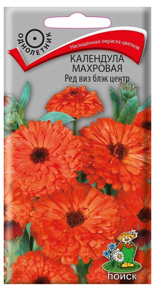 

Семена Календула махровая Поиск Ред виз блэк центр, 0,4 г
