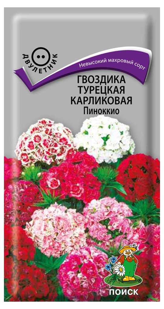 

Семена Гвоздика Поиск Пиноккио карликовая турецкая, 0,3 г