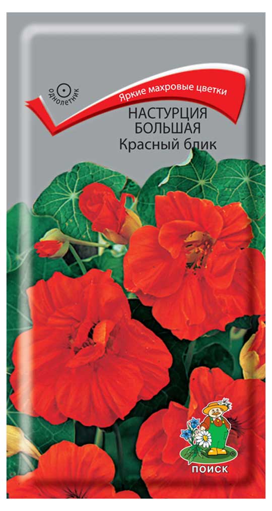 

Семена Настурция Поиск Красный блик, 1 г