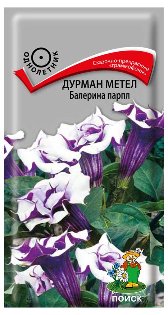 

Семена Дурман метел Поиск Балерина парпл, 0,3 г