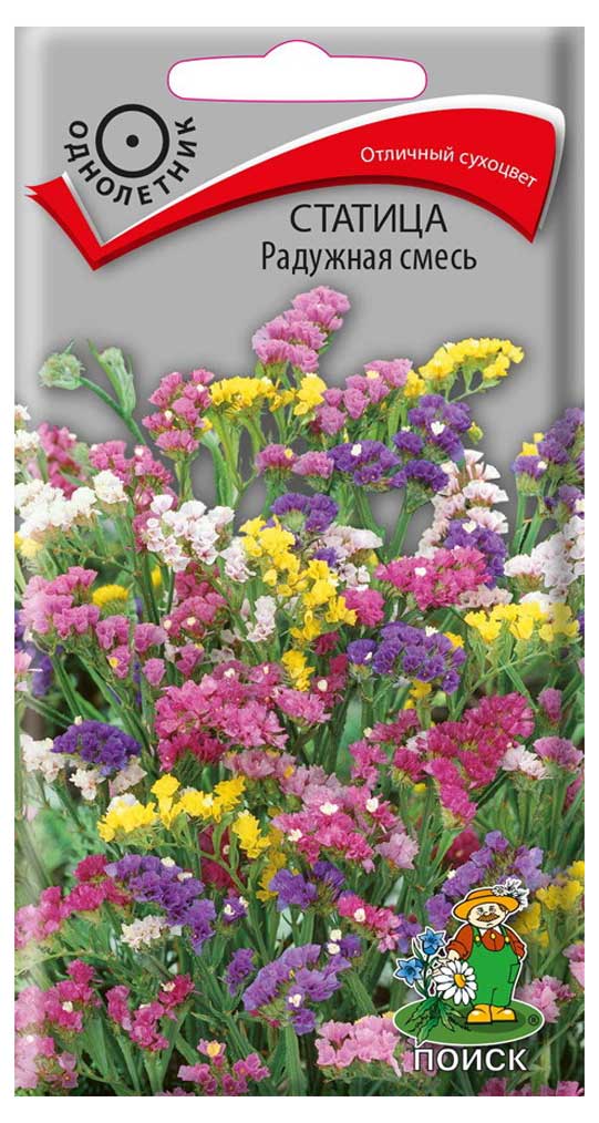 

Семена Статица Поиск Радужная смесь, 0,1 г