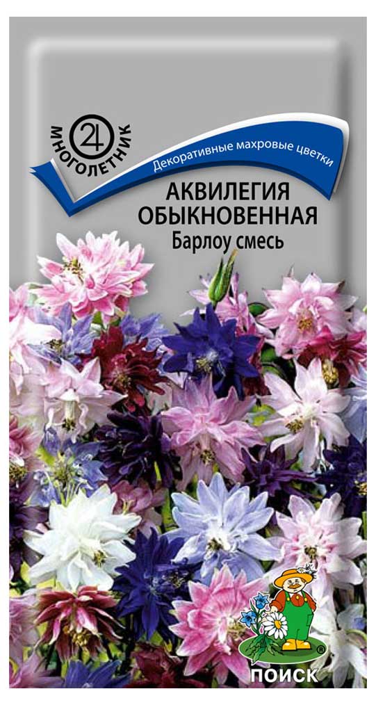 

Семена Аквилегия Поиск Барлоу смесь обыкновенная, 20 шт