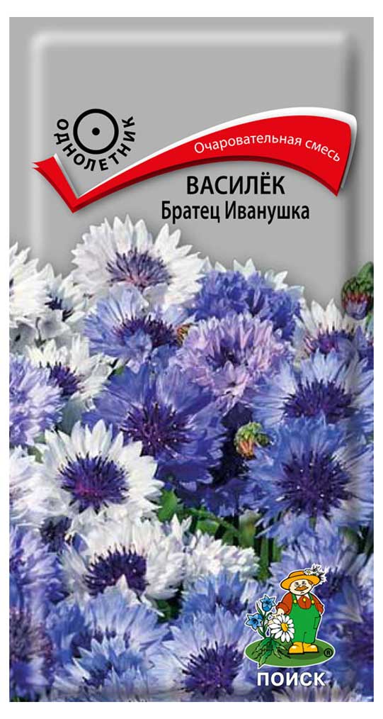 

Семена Василек Поиск Братец Иванушка, 0,3 г