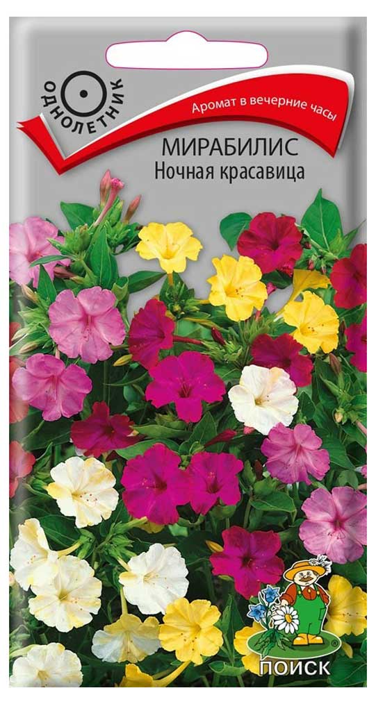Изображение товара Семена Мирабилис «Поиск» Ночная красавица, 2,5 г