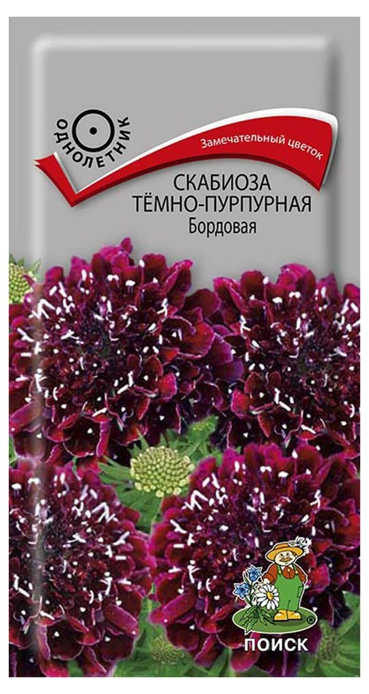 

Семена Скабиоза Поиск Темно-пурпурный бордовый, 0,2 г