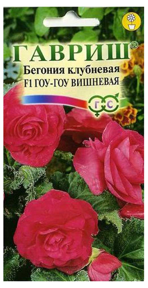 

Семена Бегония Гавриш Гоу-гоу вишневая F1, 4 шт