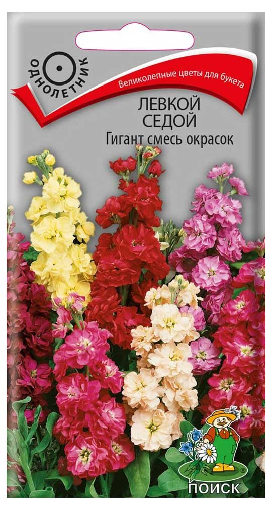 

Семена Левкой Поиск Гигант смесь, 0,1 г