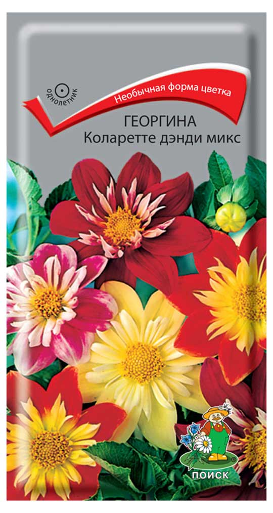 Изображение товара Семена Георгина «Поиск» Коларетте дэнди микс, 0,2 г