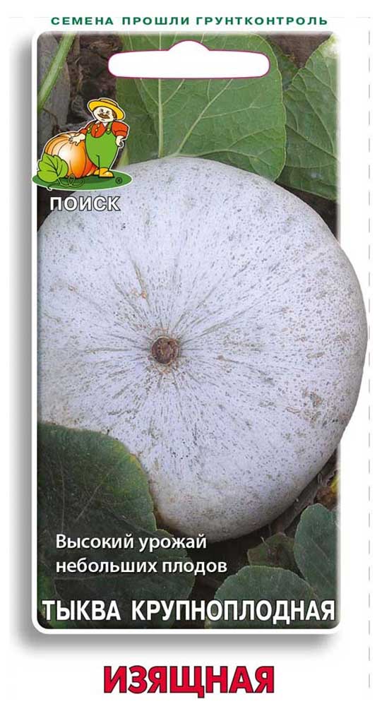 

Семена Тыква Поиск Изящная крупная, 10 шт