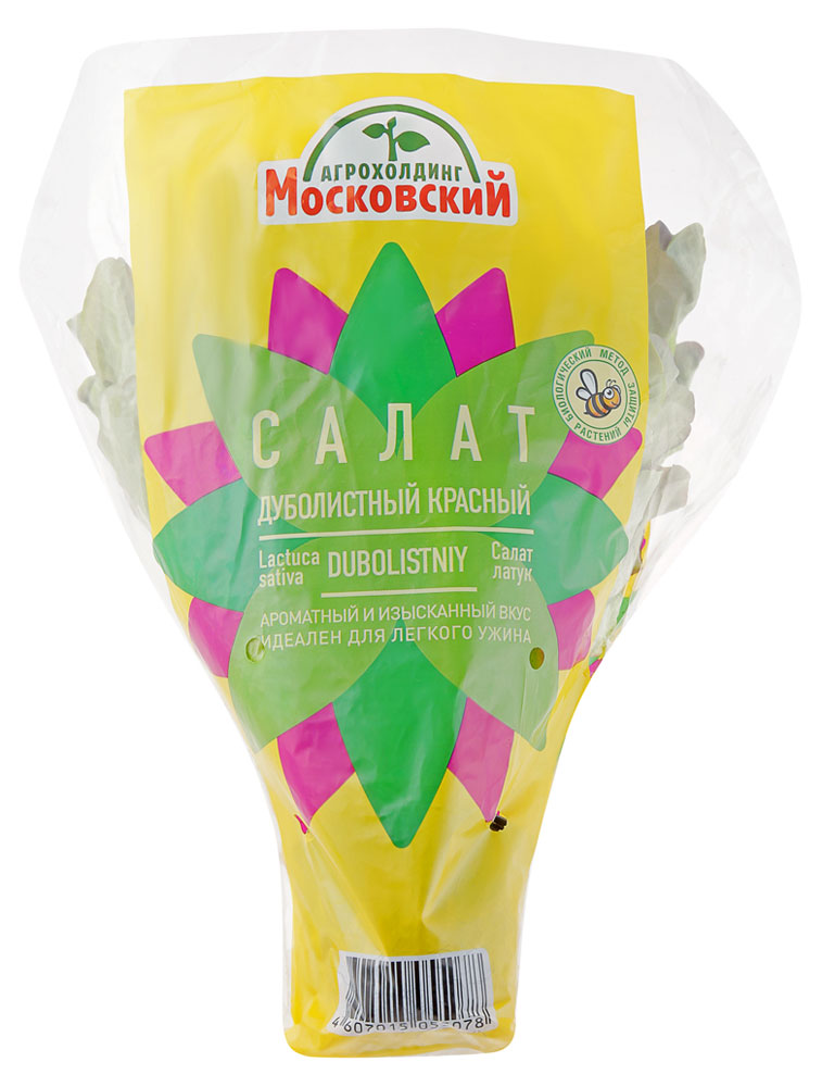 

Салат Эксклюзив дуболистный красный в горшочке, 1 штука