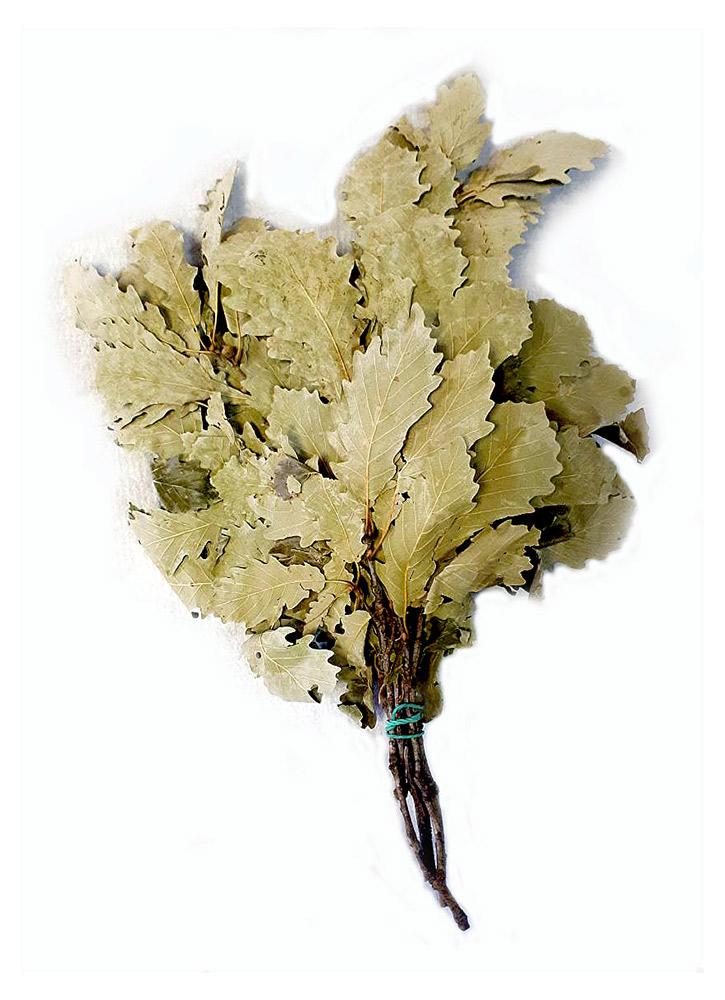 

Веник OBSI Дубовый