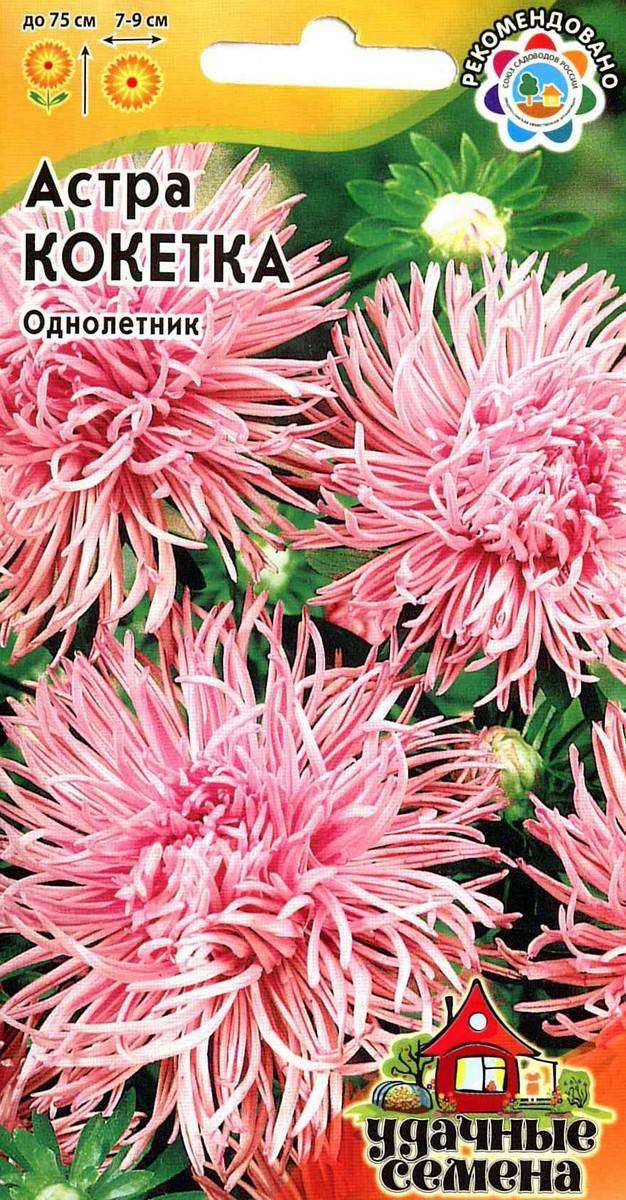 

Семена Астра Удачные семена Кокетка, 0,3 г