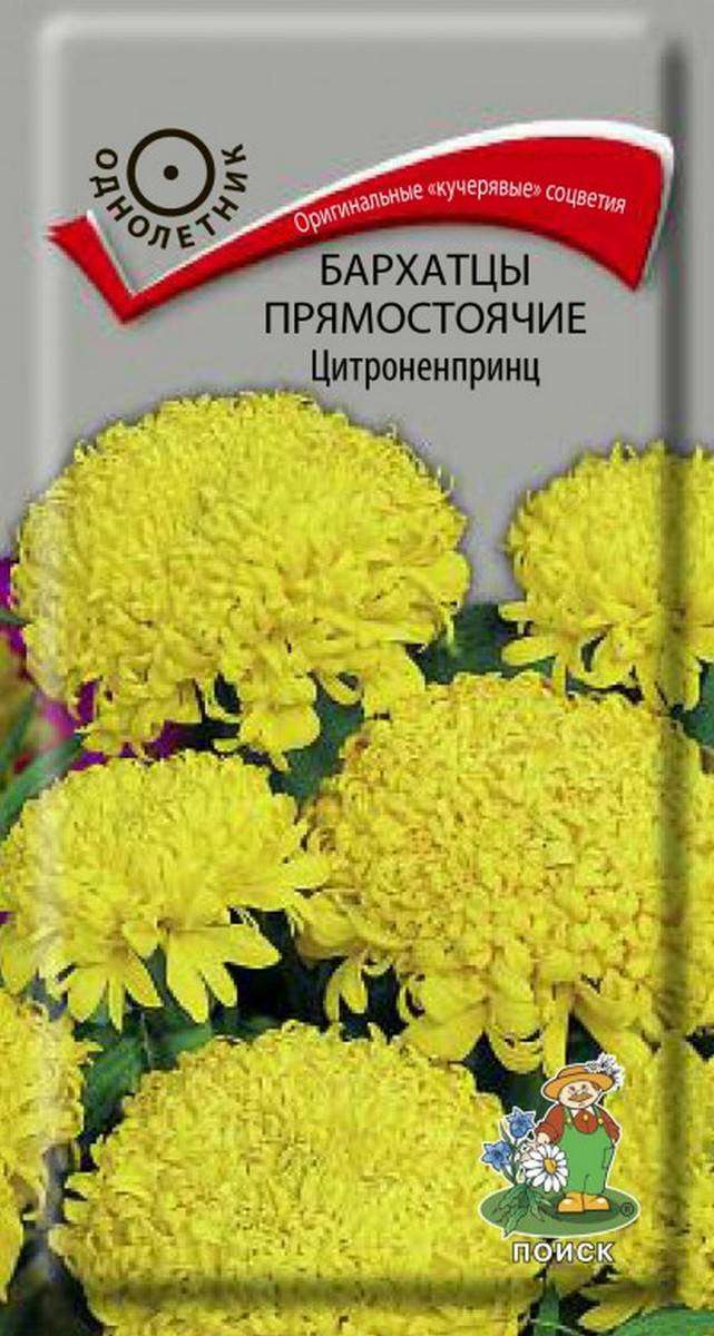 

Семена Бархатцы Поиск Цитроненпринц, 0,4 г