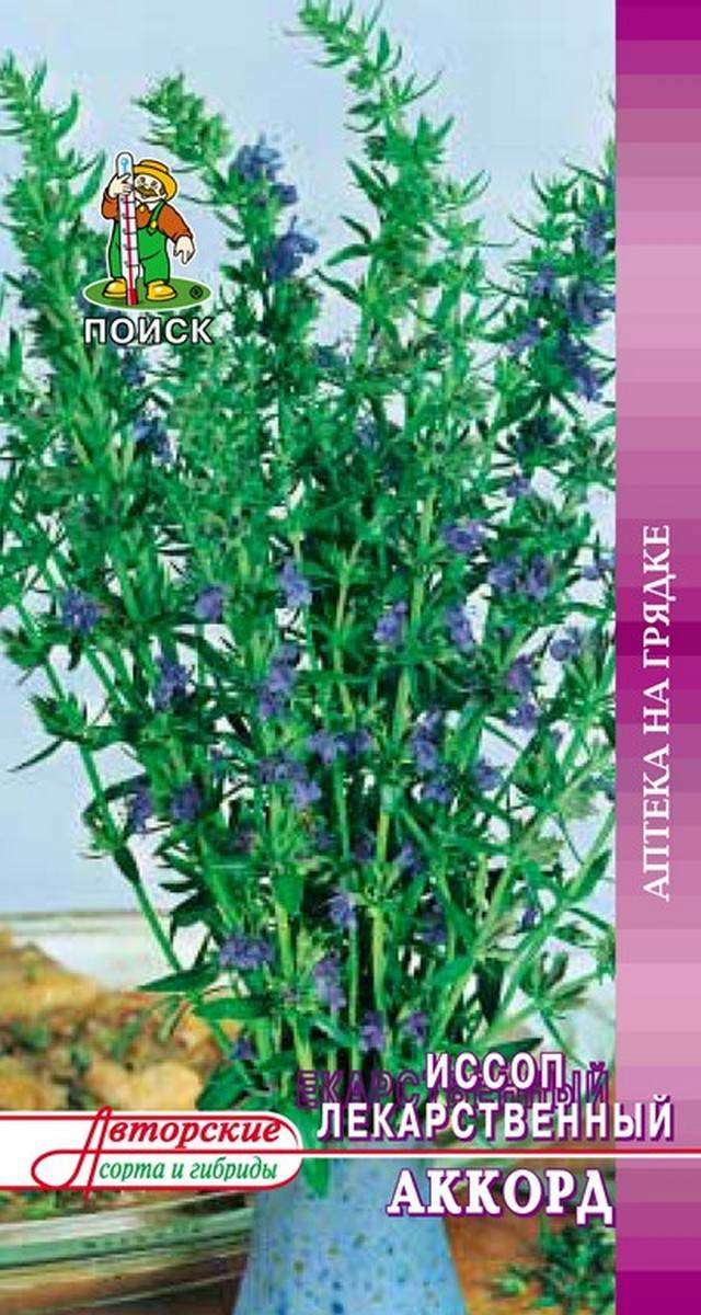 

Семена Иссоп Поиск Аккард, 0.5 г