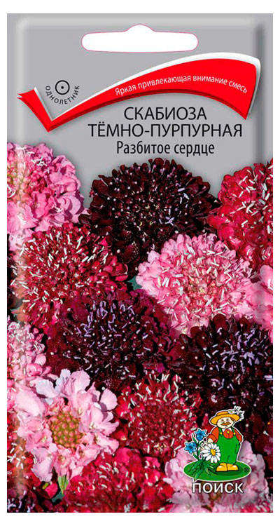 

Семена Скабиоза Поиск Разбитое сердце, 10 шт