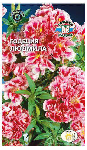 

Семена Годеция СеДеК Людмила, 0,1 г