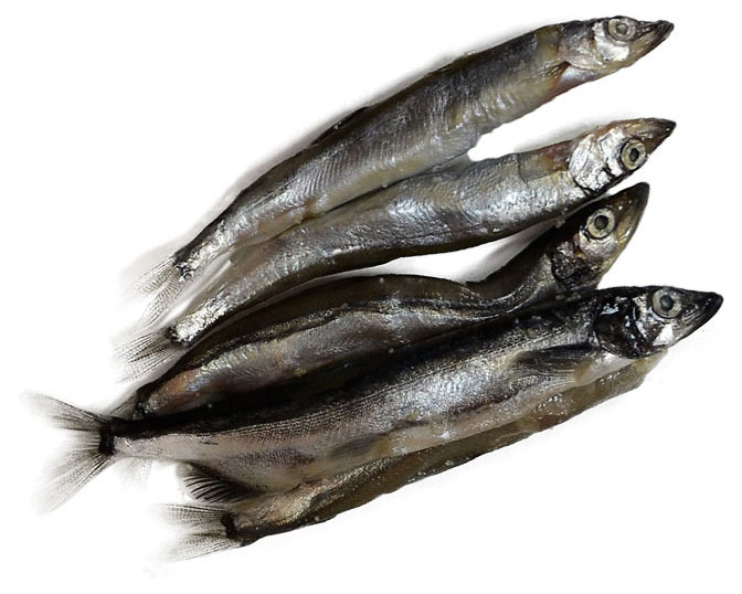 

Мойва замороженная неразделанная, вес