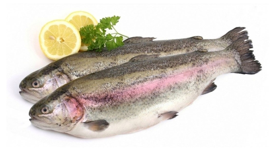 

Форель Радужная охлажденная ~ 500-800 г, вес