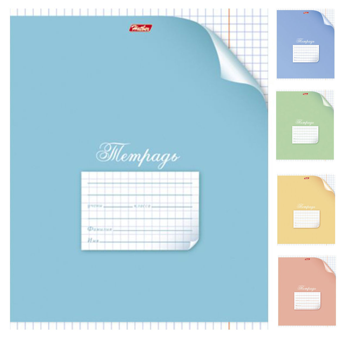 

Тетрадь Hatber А5 в клетку, 12 л